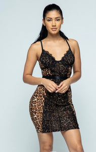 Leopard Lacey Dress